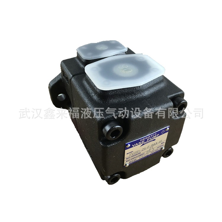 柱塞泵同時(shí)出現(xiàn)振動(dòng)和噪聲問題該怎么辦？